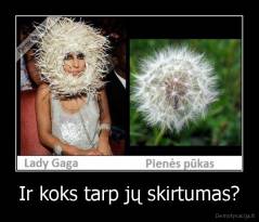 Ir koks tarp jų skirtumas? - 