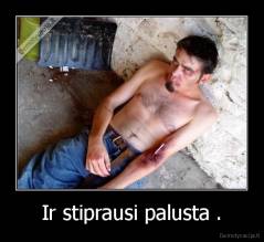 Ir stiprausi palusta . - 