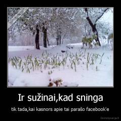 Ir sužinai,kad sninga - tik tada,kai kasnors apie tai parašo facebook'e