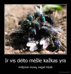 Ir vis dėlto mėšle kažkas yra - milijonai musių negali klysti