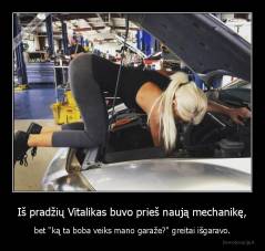 Iš pradžių Vitalikas buvo prieš naują mechanikę, - bet "ką ta boba veiks mano garaže?" greitai išgaravo.