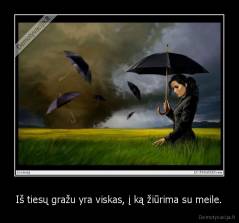 Iš tiesų gražu yra viskas, į ką žiūrima su meile. - 