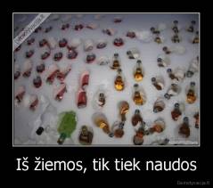 Iš žiemos, tik tiek naudos - 