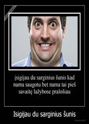 Isigijau du sarginius šunis - 