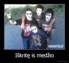 Iškritę is medžio - 