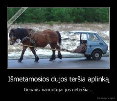 Išmetamosios dujos teršia aplinką - Geriausi vairuotojai jos neteršia...