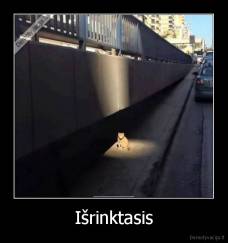 Išrinktasis - 