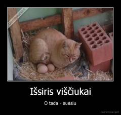 Išsiris viščiukai - O tada - suėsiu