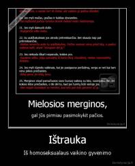 Ištrauka - Iš homoseksualaus vaikino gyvenimo