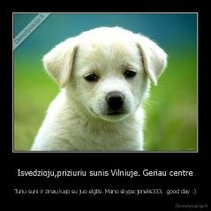 Isvedzioju,priziuriu sunis Vilniuje. Geriau centre - Turiu suni ir zinau kaip su juo elgtis. Mano skype:jonelis333.  good day :)