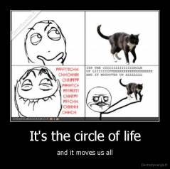 It's the circle of life - and it moves us all