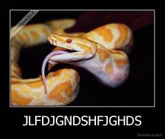 JLFDJGNDSHFJGHDS - 