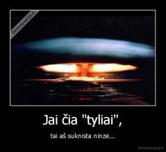 Jai čia "tyliai", - tai aš suknista ninzė...