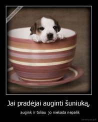 Jai pradėjai auginti šuniuką, -   augink ir toliau  jo niekada nepalik