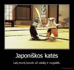 Japoniškos katės - Lak,murk,kovok už veislę ir nugalėk.
