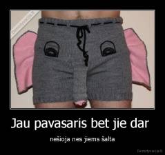 Jau pavasaris bet jie dar  - nešioja nes jiems šalta