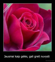 Jausmai kaip gėlės, gali greit nuvysti  - 