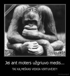 Jei ant moters užgriuvo medis... - TAI KĄ MIŠKAS VEIKIA VIRTUVĖJE?!