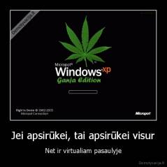 Jei apsirūkei, tai apsirūkei visur - Net ir virtualiam pasaulyje