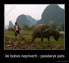 Jei bobos nepriverti - pasidaryk pats - 