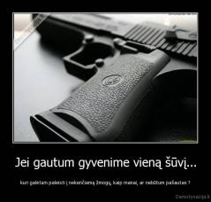 Jei gautum gyvenime vieną šūvį... - kuri galėtum paleisti į nekenčiamą žmogų, kaip manai, ar nebūtum pašautas ?