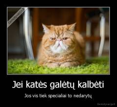 Jei katės galėtų kalbėti - Jos vis tiek specialiai to nedarytų