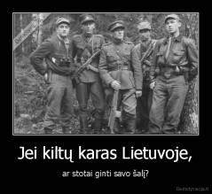 Jei kiltų karas Lietuvoje, - ar stotai ginti savo šalį?