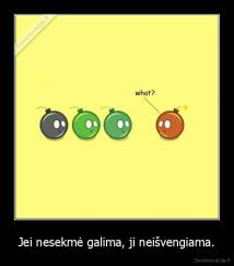 Jei nesekmė galima, ji neišvengiama. - 
