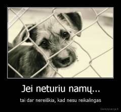 Jei neturiu namų... - tai dar nereiškia, kad nesu reikalingas