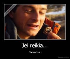 Jei reikia... - Tai reikia.
