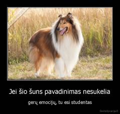 Jei šio šuns pavadinimas nesukelia - gerų emocijų, tu esi studentas