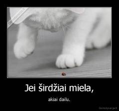 Jei širdžiai miela, - akiai dailu.