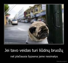 Jei tavo veidas turi liūdnų bruožų - net plačiausia šypsena jame nesimatys