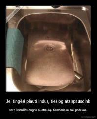 Jei tingėsi plauti indus, tiesiog atsispausdink - savo kriauklės dugno nuotrauką. Kambariokai tau padėkos.