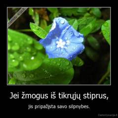Jei žmogus iš tikrųjų stiprus, - jis pripažįsta savo silpnybes.