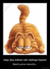 Jeigu jūsų katinas ryte mįslingai šypsosi - šlepečių geriau nesiaukite...