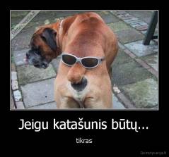 Jeigu katašunis būtų... - tikras