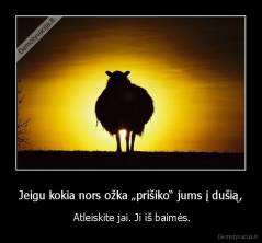 Jeigu kokia nors ožka „prišiko“ jums į dušią, -  Atleiskite jai. Ji iš baimės.