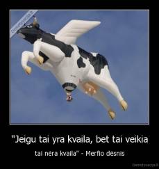 "Jeigu tai yra kvaila, bet tai veikia - tai nėra kvaila" - Merfio dėsnis