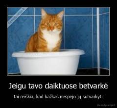 Jeigu tavo daiktuose betvarkė - tai reiškia, kad kažkas nespėjo jų sutvarkyti