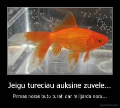 Jeigu tureciau auksine zuvele... - Pirmas noras butu tureti dar milijarda noru...