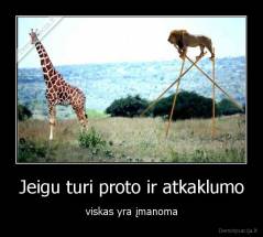 Jeigu turi proto ir atkaklumo - viskas yra įmanoma