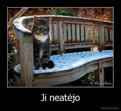 Ji neatėjo - 