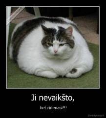 Ji nevaikšto, - bet ridenasi!!!