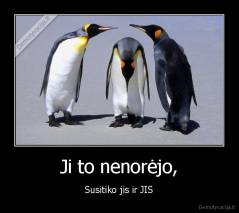 Ji to nenorėjo, - Susitiko jis ir JIS