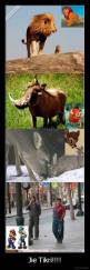 Jie Tikri!!!! - 