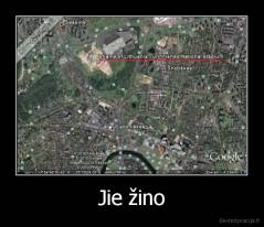 Jie žino - 