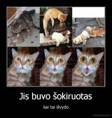 Jis buvo šokiruotas - kai tai išvydo