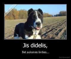 Jis didelis, - Bet auksinės širdies...