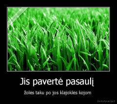 Jis pavertė pasaulį  - žolės taku po jos klajoklės kojom 